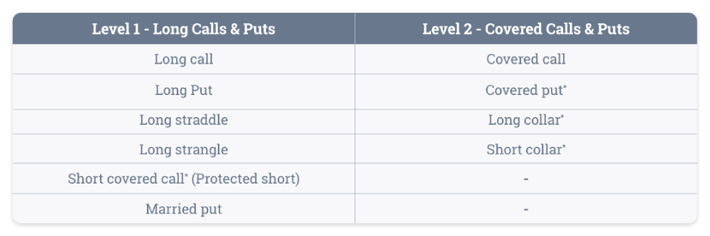 Basic options strategies (Level 2)