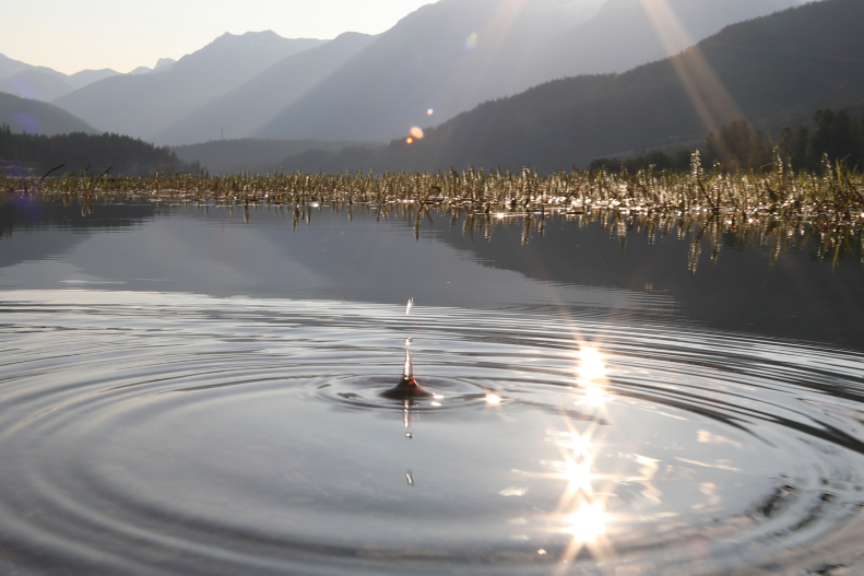 The lake