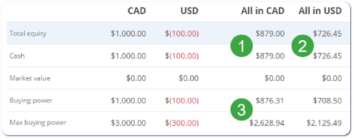 Margin account borrowing example