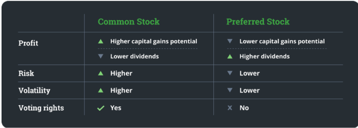 Common vs preferred stocks