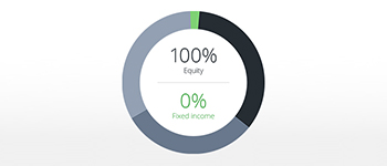 100% Equity