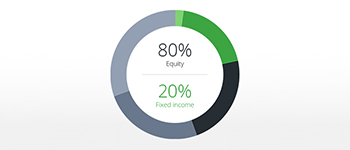 80% Equity 20% Fixed Income